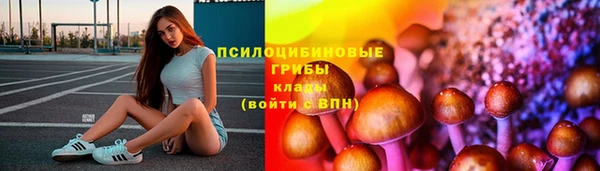 таблы Инта